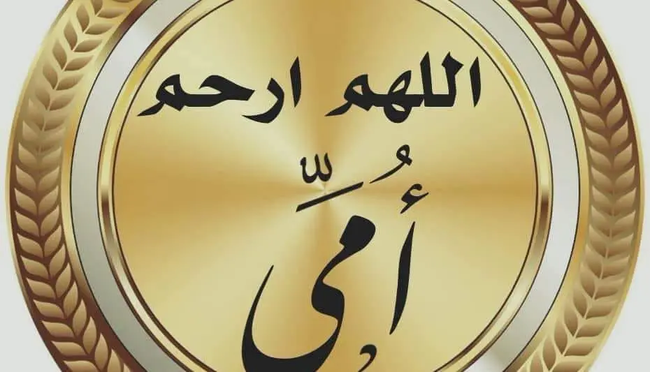 مصر والأرجنتين دور ال ١٦ كأس العالم ٢٠٢٦
