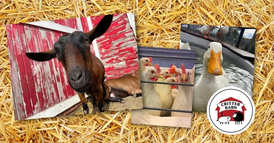 Critter Barn