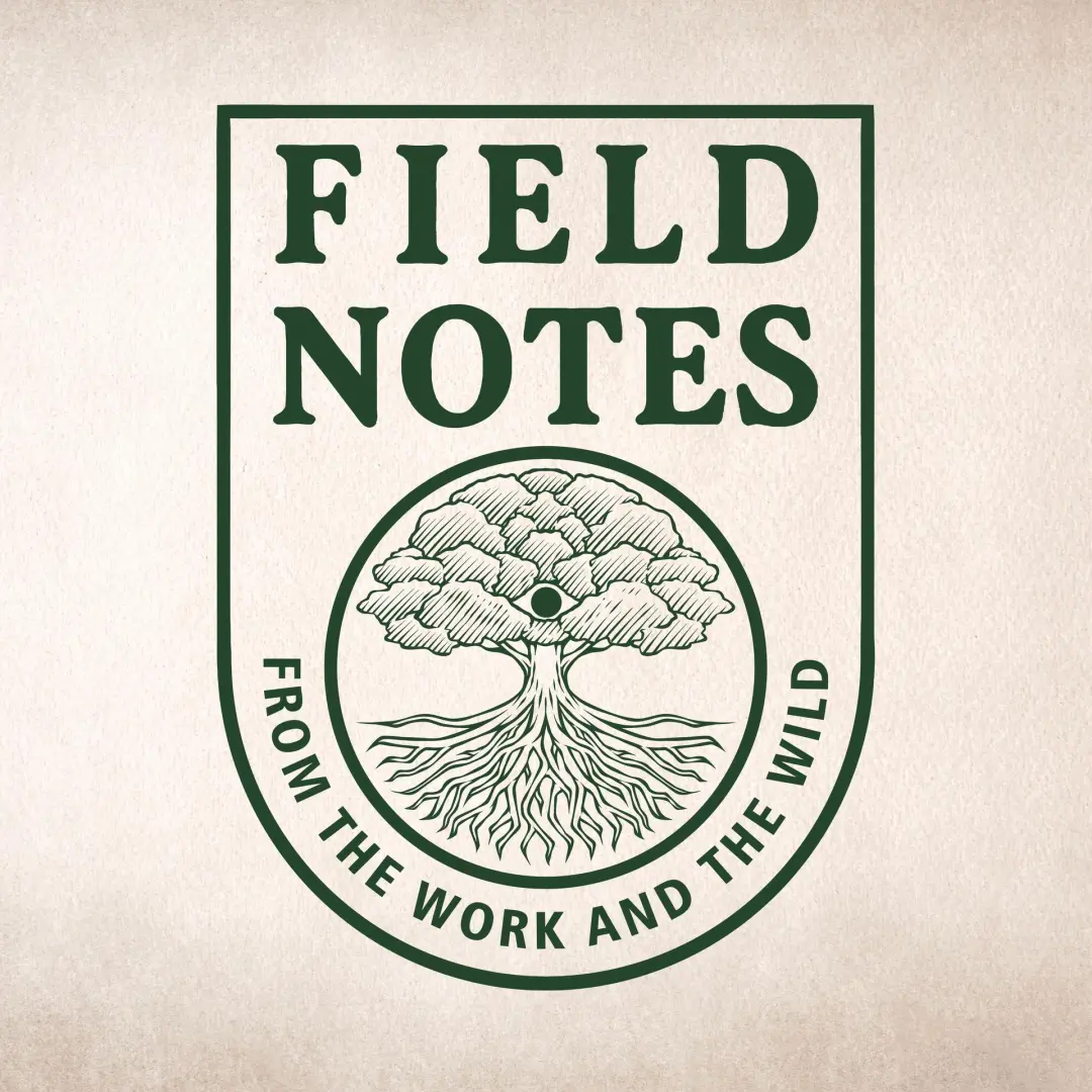 Field Notes Session No. 5 in collaboration with Fabrik