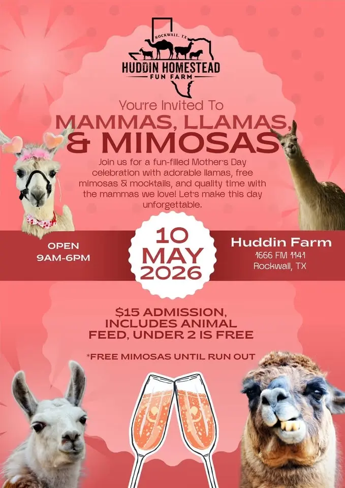Mammas, Llamas, & Mimosas