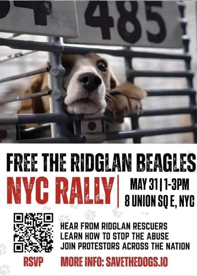 NYC Rally Free The Ridglan Beagles