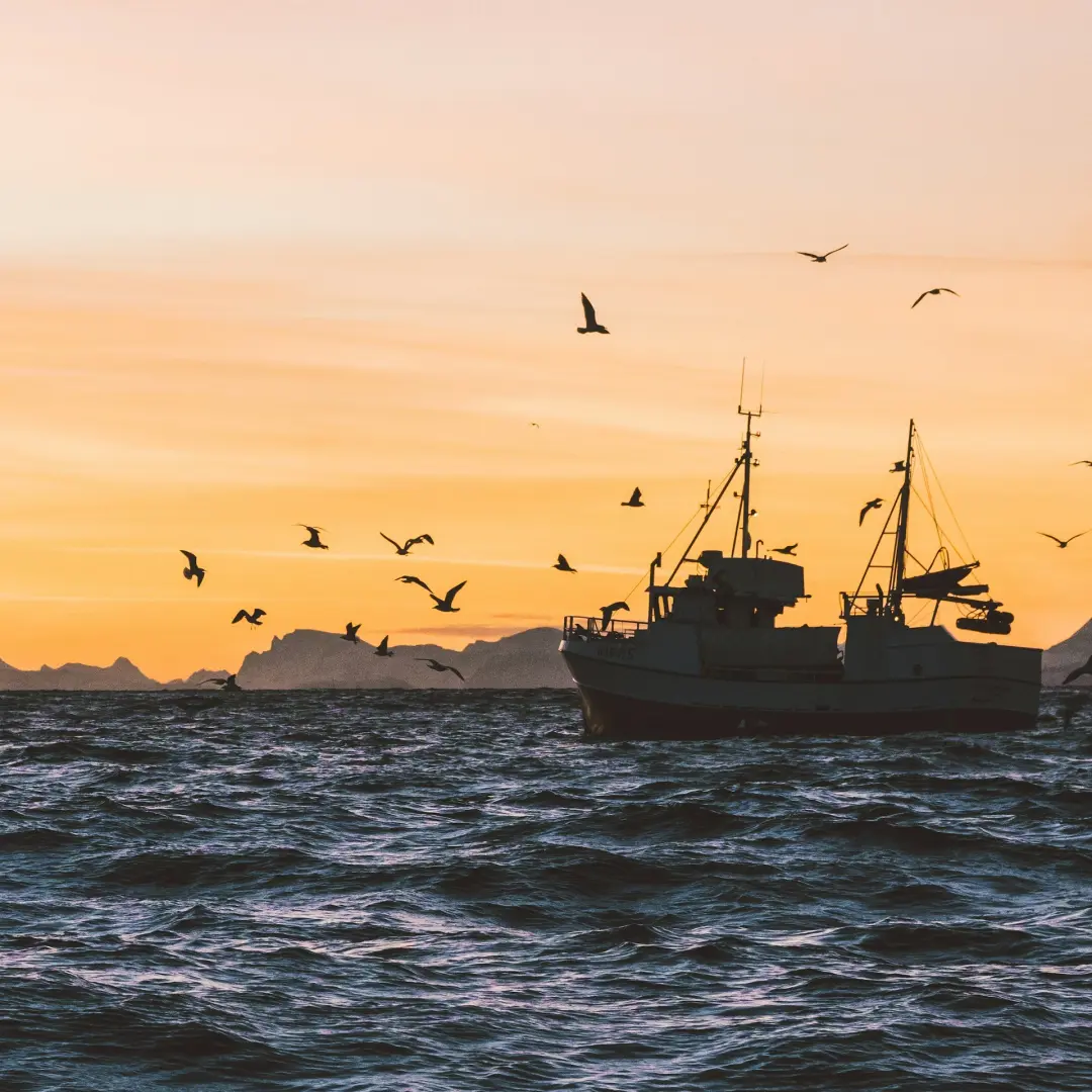 Unlocking Transparency in UK Fisheries