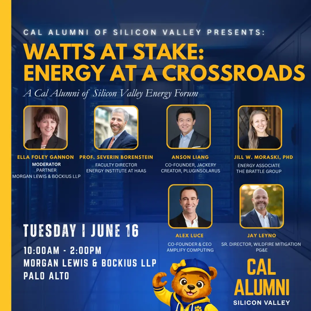Watts at Stake: Silicon Valley's Energy Crossroads