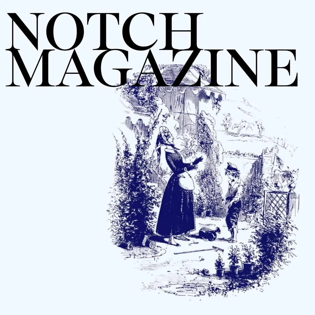 NOTCH AT BETSEY TROTWOOD