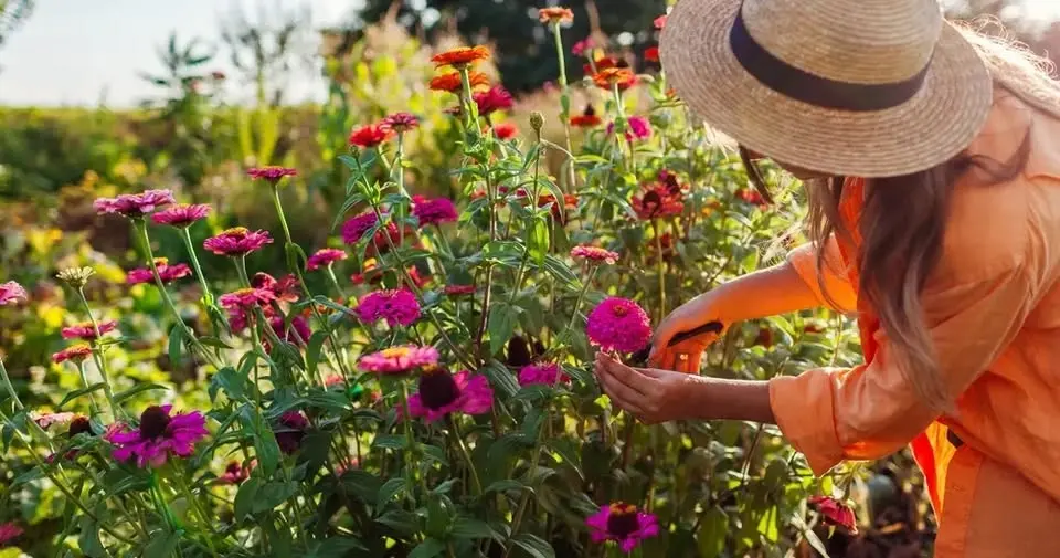 Hike & Harvest: Floral Design
