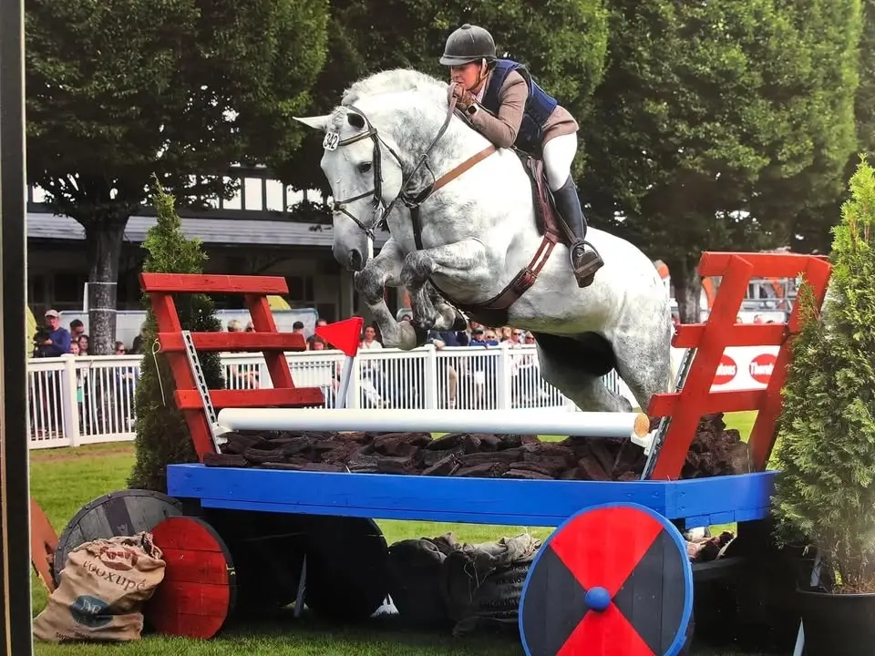 South East Ridden Irish Draught Championship 