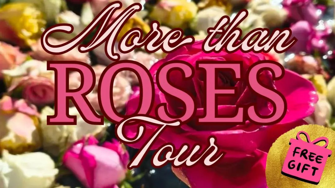 🌹MORE than a ROSES TOUR