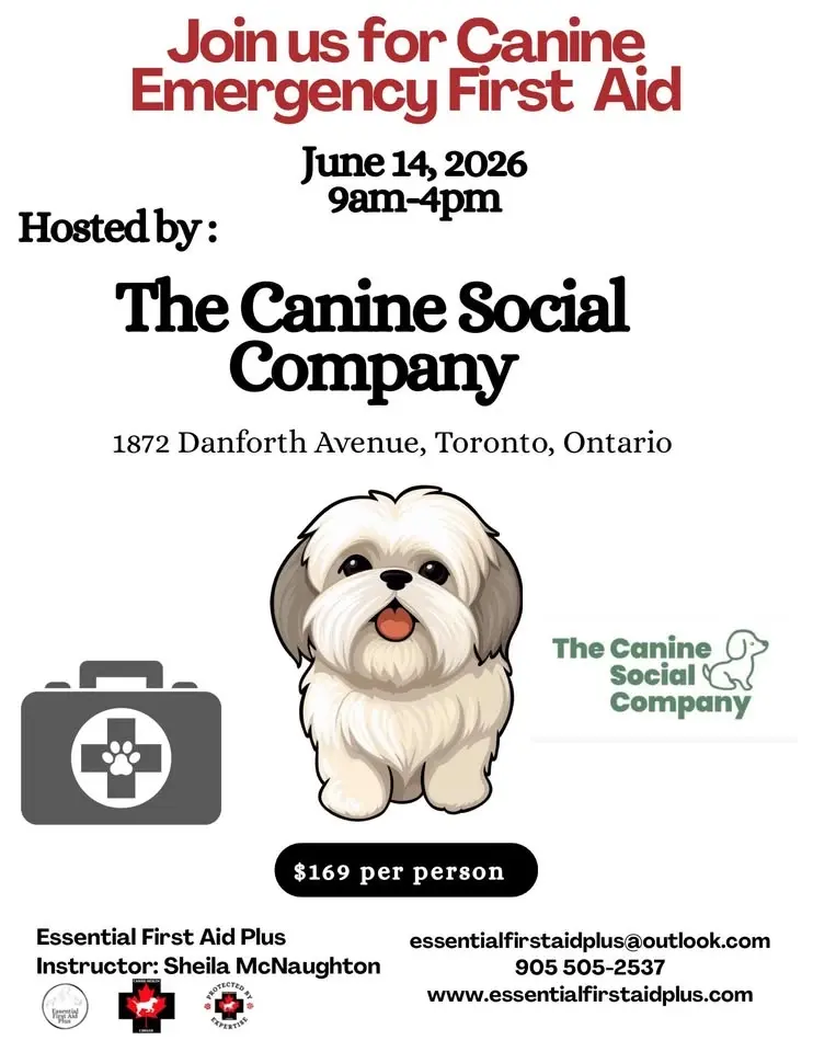 Canine Emergency First Aid at The Canine Social Company