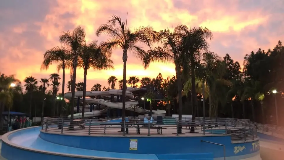 Friday Night Splash!