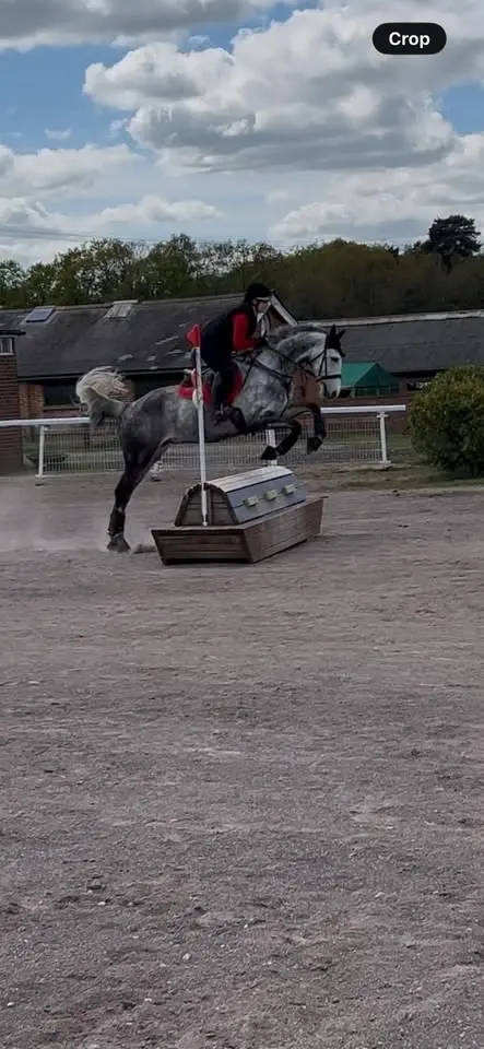 Sj and xc day at Tweseldown 