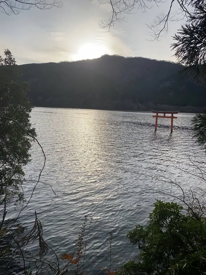 歩いて越える箱根峠｜湯河原〜九頭竜神社⛩️の道をいく