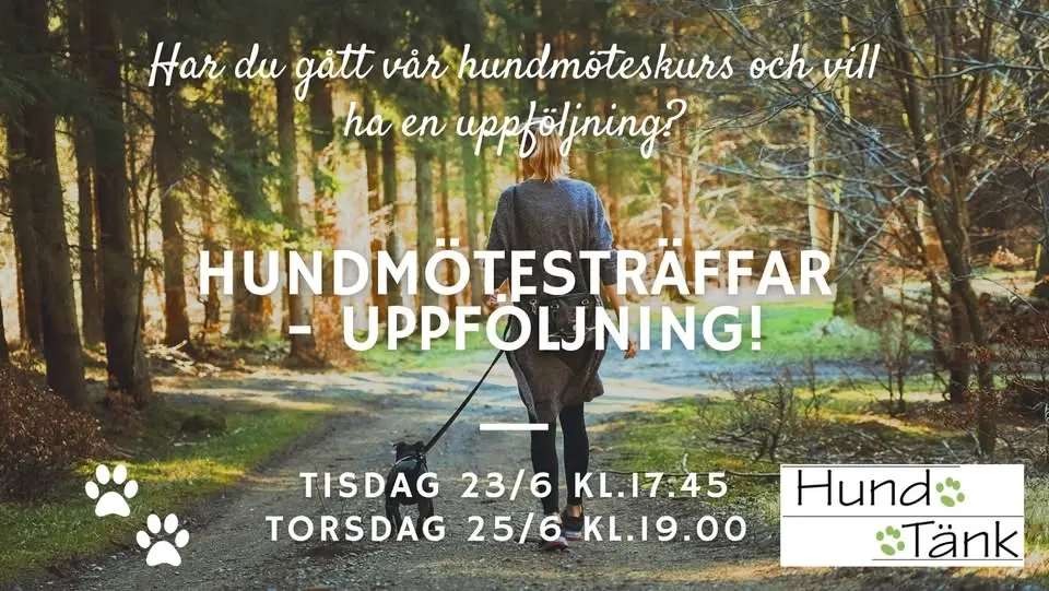 Hundmöten - uppföljningsträffar!