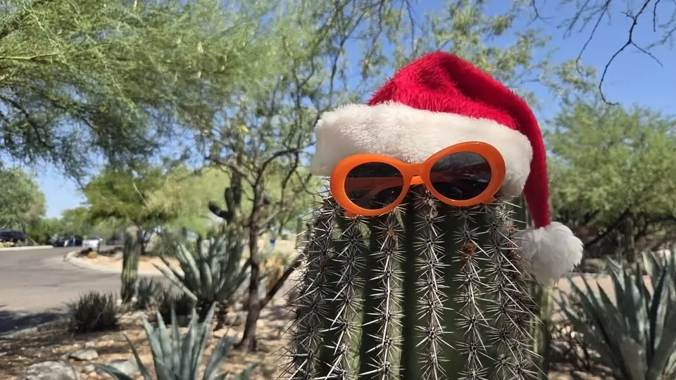 Christmas in July
