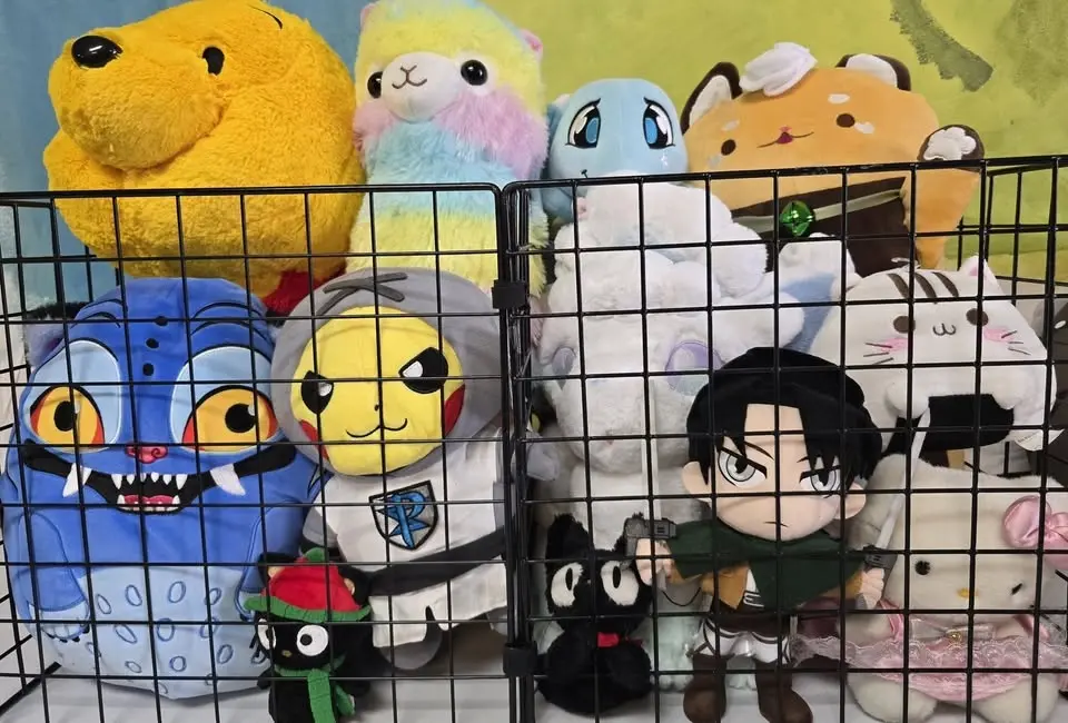 Rainy Day Anime Plush Adoption Fair!