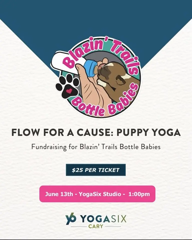 Flow For A Cause Presented by Y6 Cary