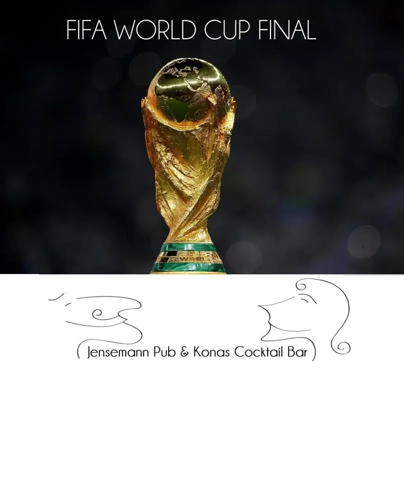 FIFA WORLD CUP FINAL