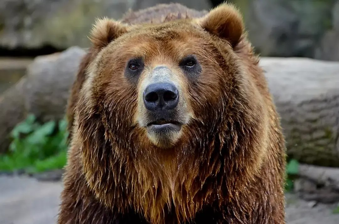 Za vysvědčení do Zoo Děčín 2026