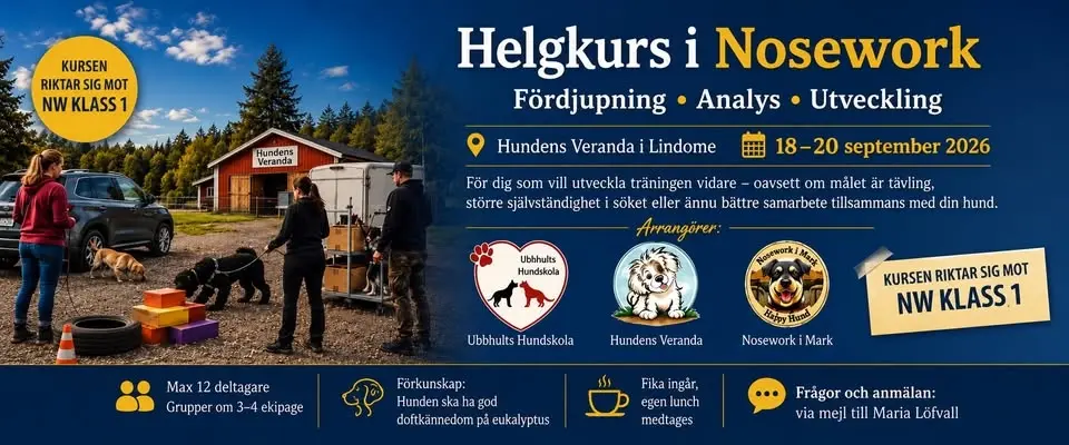 Noseworkkurs – fördjupning, analys och utveckling