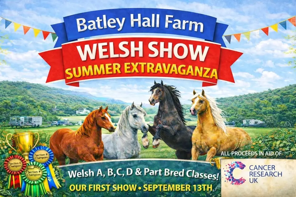 Batley Hall Farm Welsh Show Summer Extravaganza