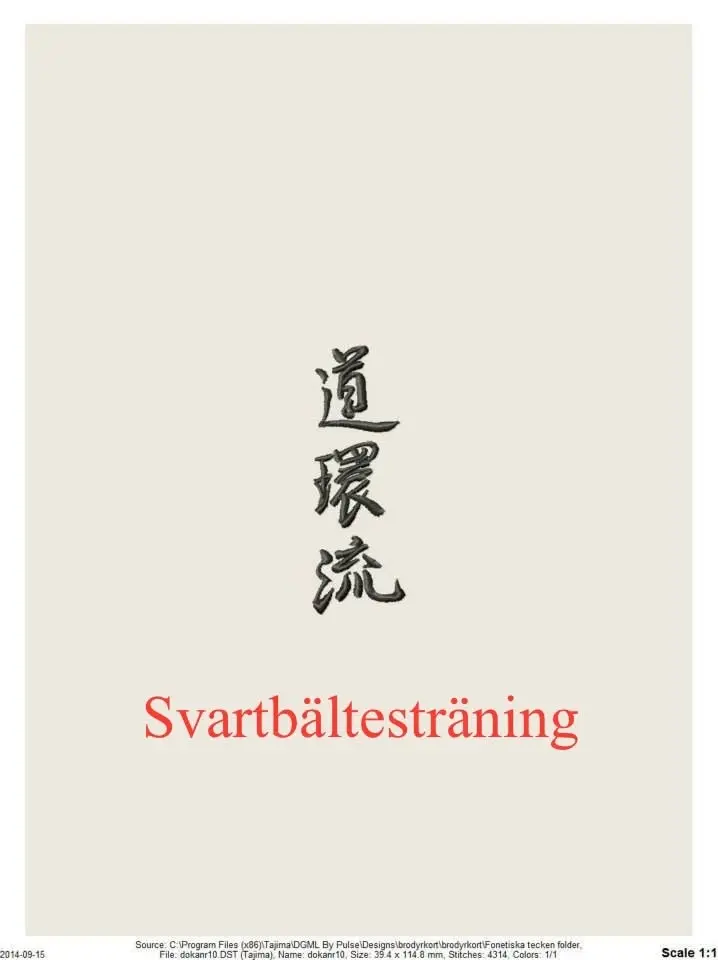Svartbältesträning Yudanshakai