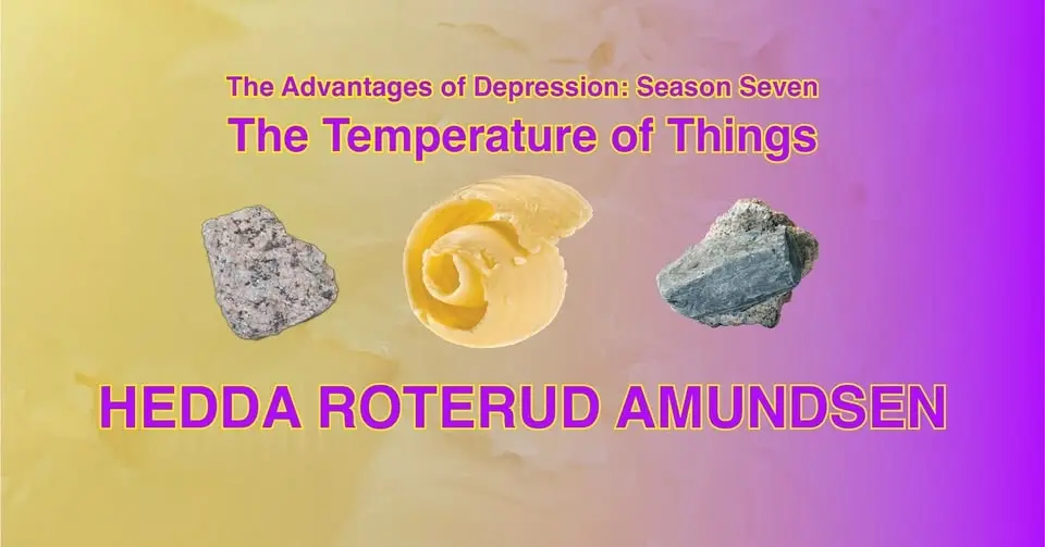 The Temperature of Things - Hedda Roterud Amundsen