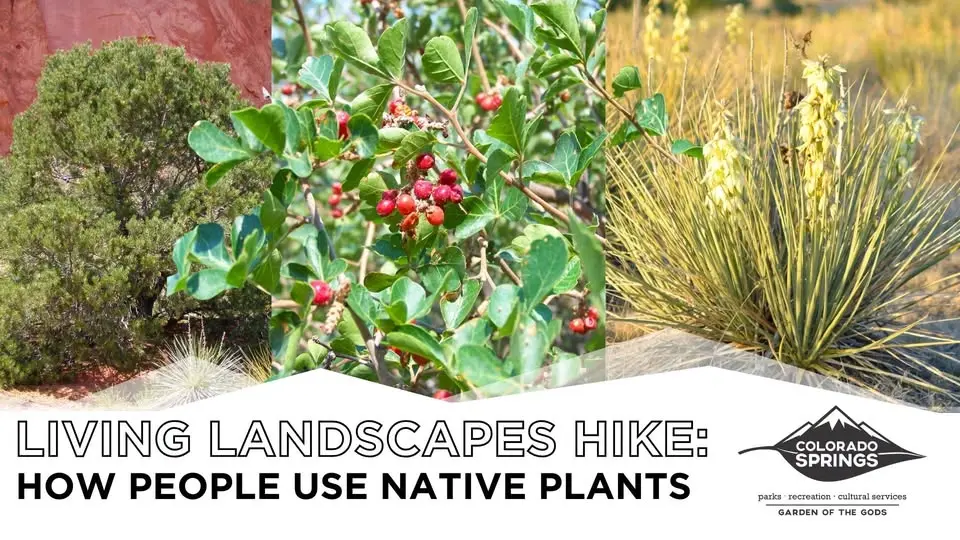 Living Landscapes: How People Use Native Plants