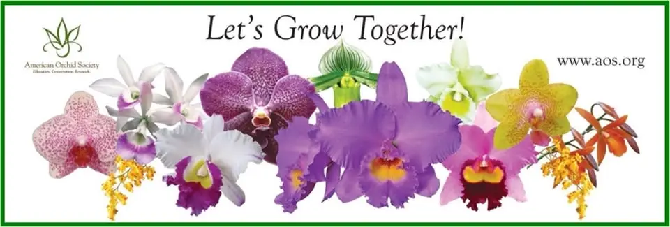 Martin County Orchid Society Meeting