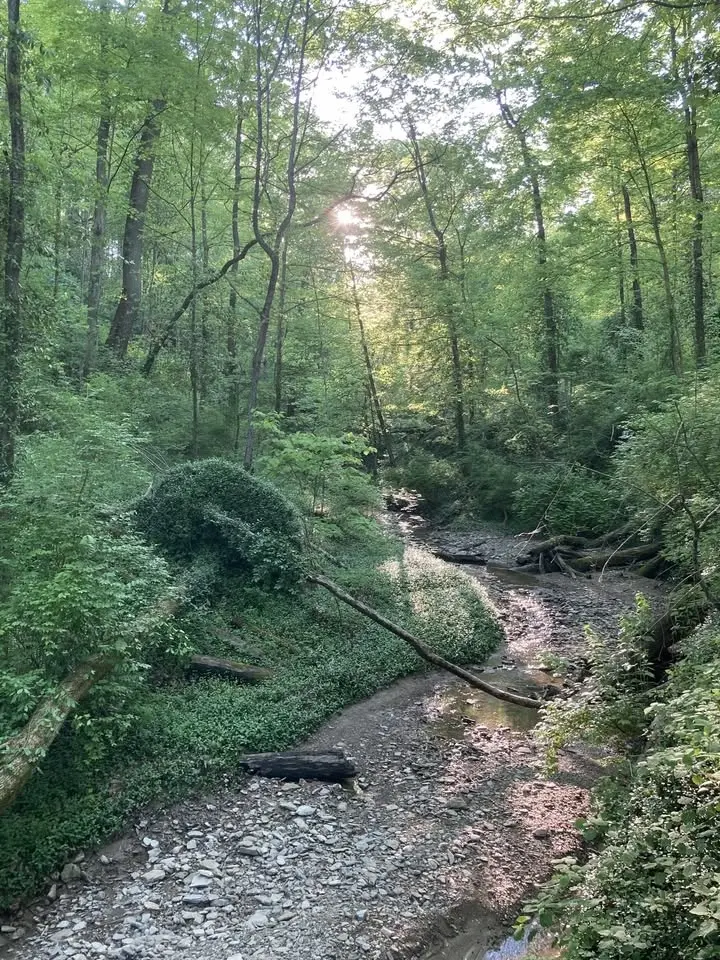 Nurtured By Nature Walking Series (Tuesdays)