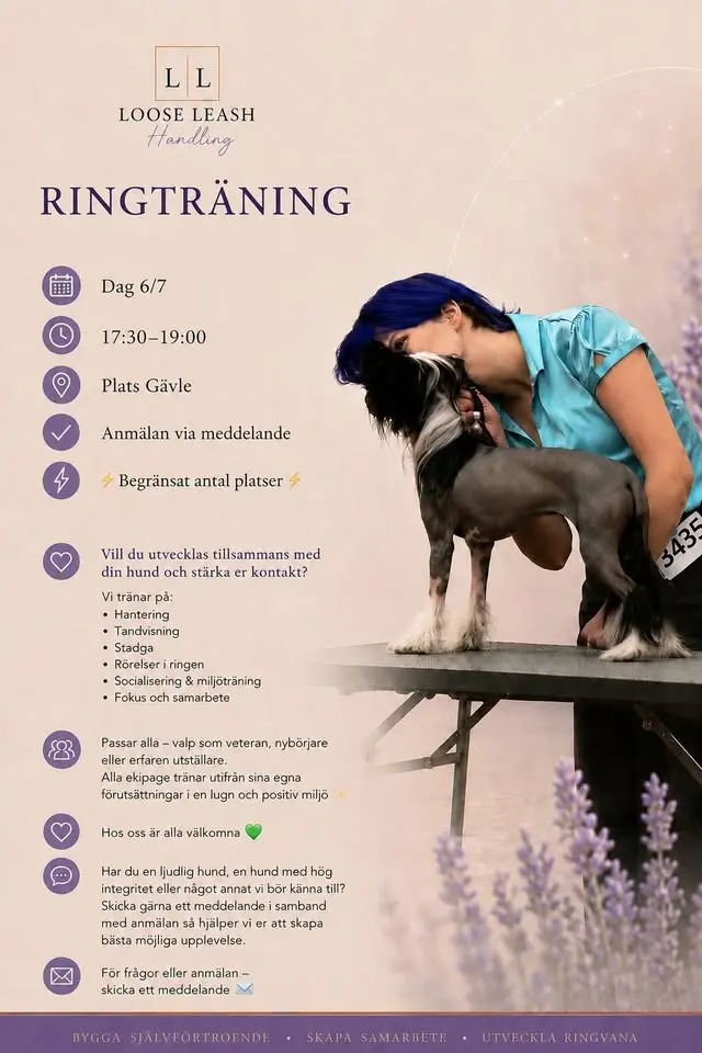 Loose Leash - Ringträning  - Gävle 