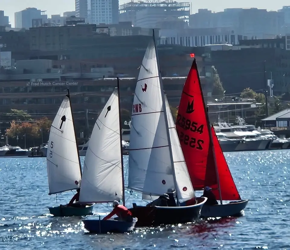The Tiny Boat Regatta