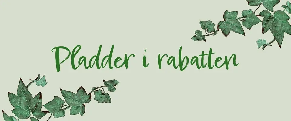Pladder i rabatten