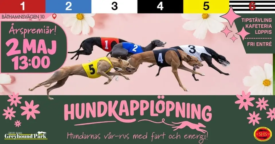 Hundkapplöpning - säsongsöppning 2 maj!