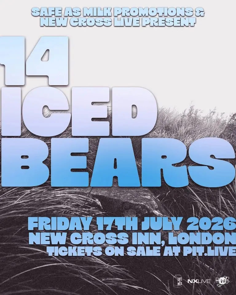 14 Iced Bears | London