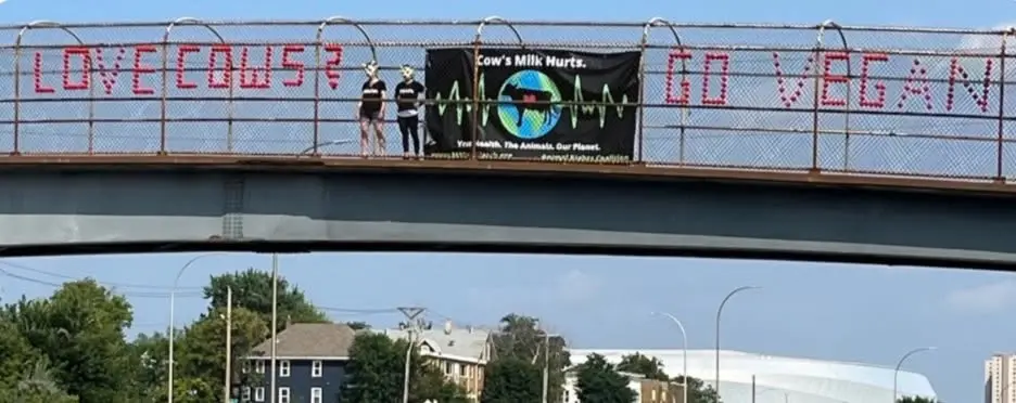 MN State Fair Hwy 94 Bridge Outreach - Volunteer Opportunity