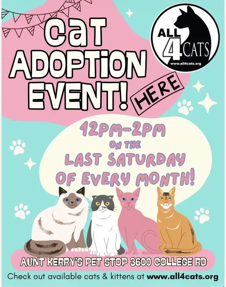 All4Cats Adoption Event