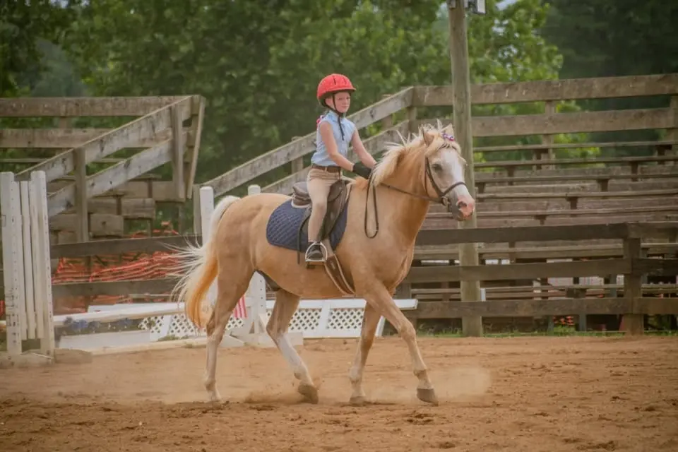 Hunter Derby Show 