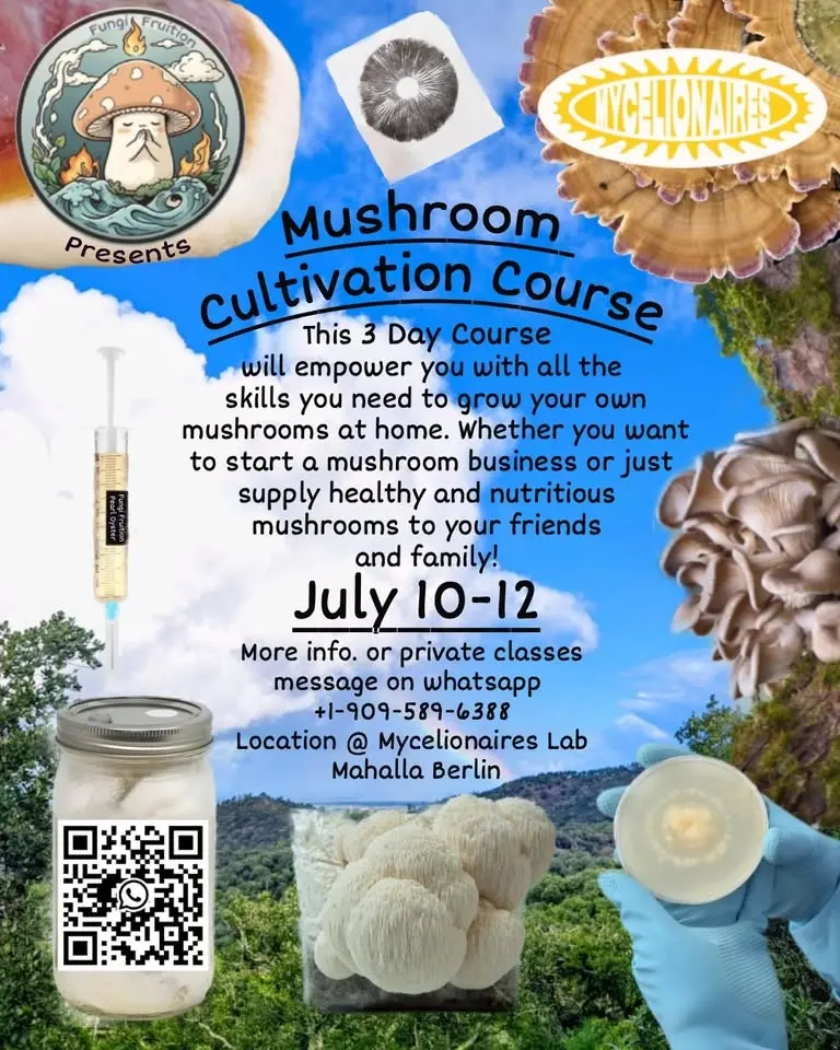 Berlin 3 Mushroom Culitvation Course July 10-12