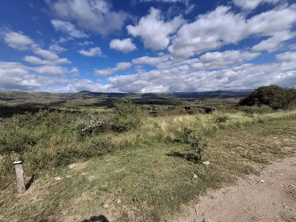 Argentina Open Championship 2026 by discgolf punto lat