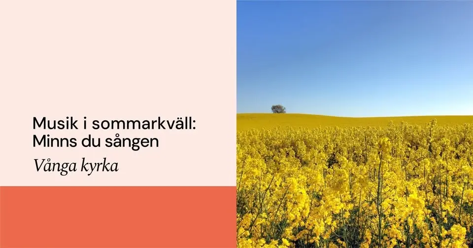 Musik i sommarkväll: Minns du sången