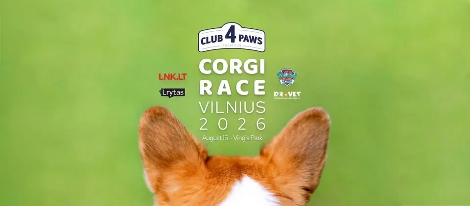 Corgi Race Vilnius 2026