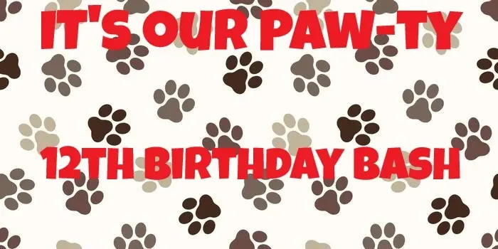 It's our Paw-ty. 