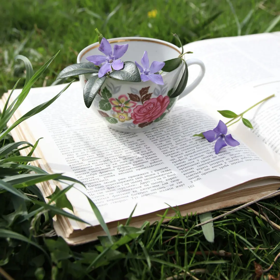 📖Offline Women Read in Nature