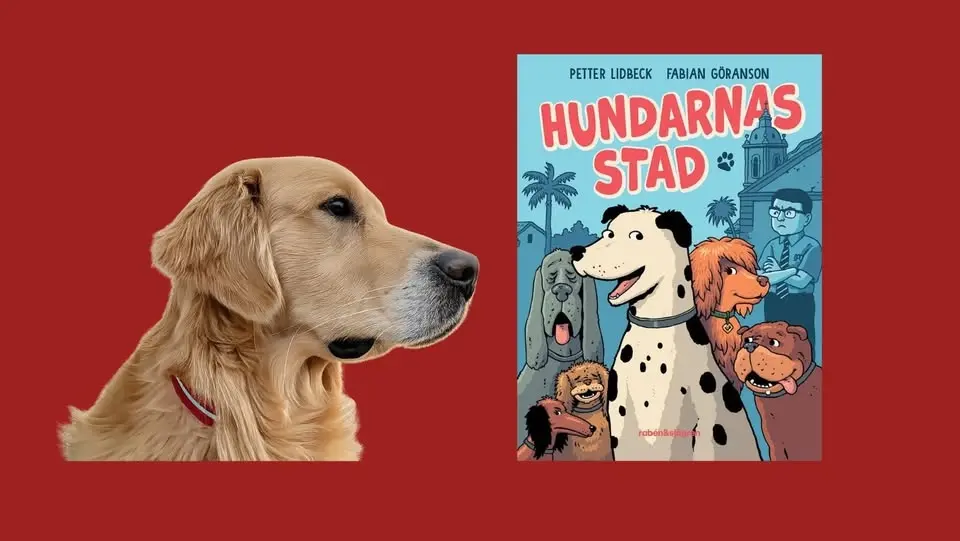 Sommarlovsextra: Läs med Sinbad Sjöfararen, vår läshund.