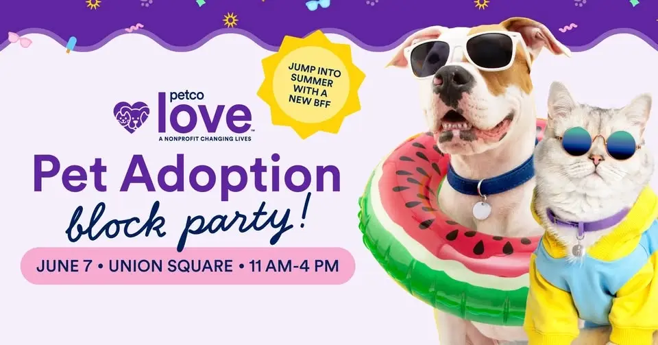 Petco Love Adoption Event | Manhattan Adoption Event