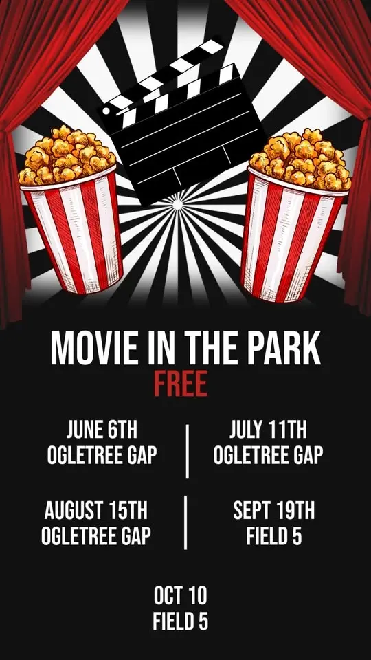 Movie in the Park
