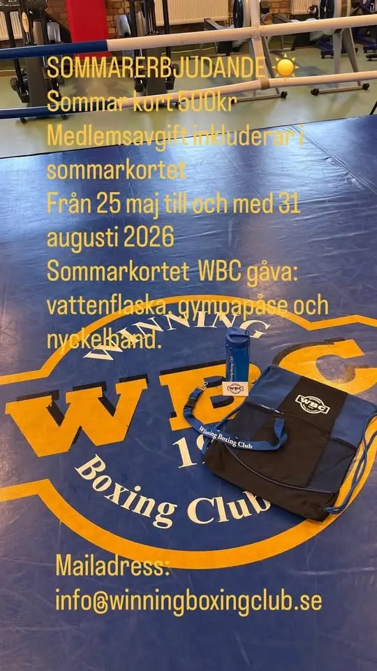 SOMMARKORT 500kr från 25/-31/8 ☀️☀️