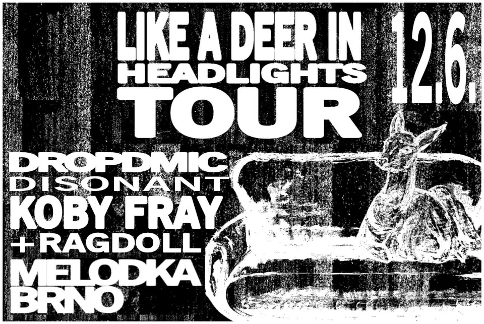 DROPDMIC | DISONANT | KOBY FRAY | RAGDOLL - Melodka, BRNO