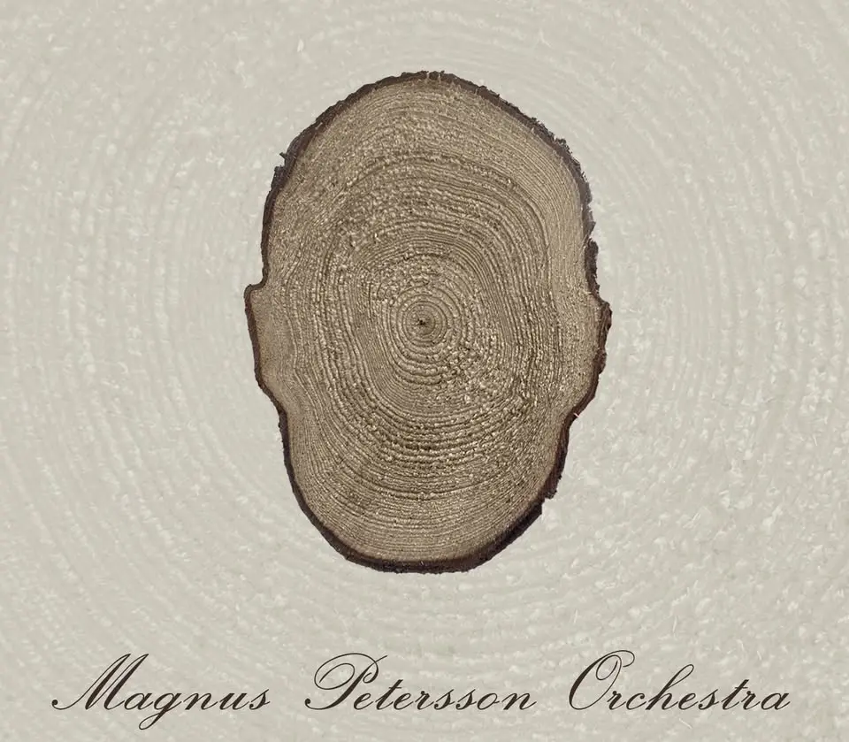 Musik i sommarkväll - Magnus Petersson Orchestra