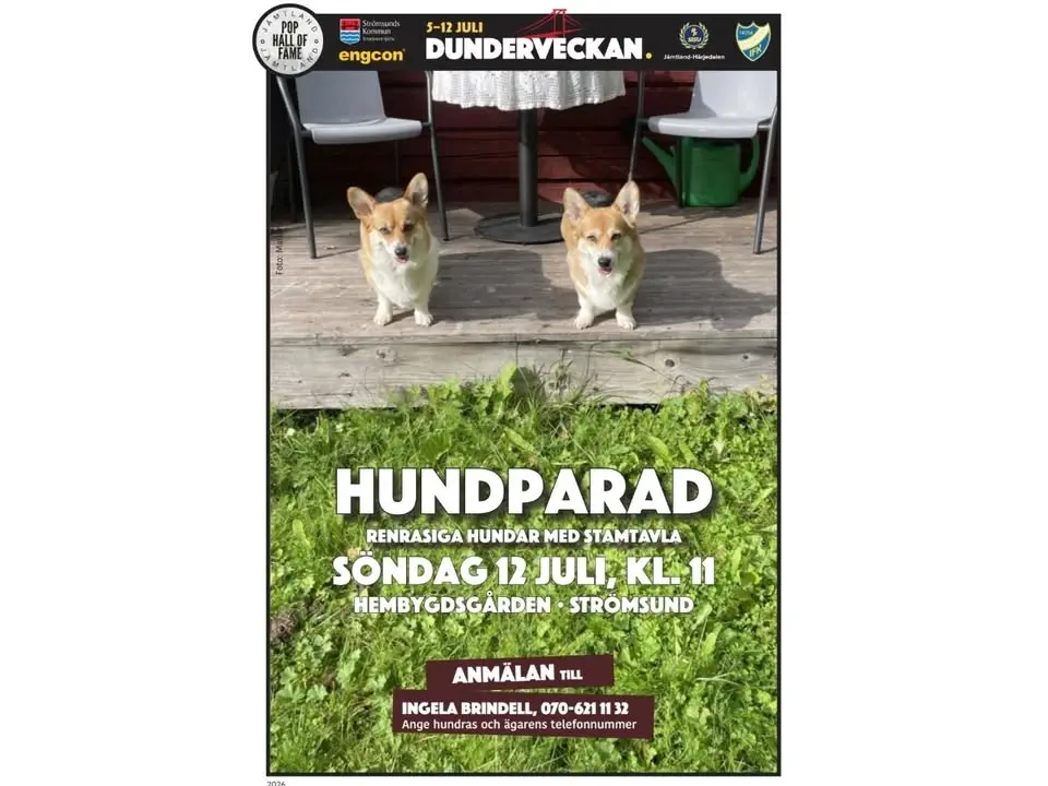 Hundparad