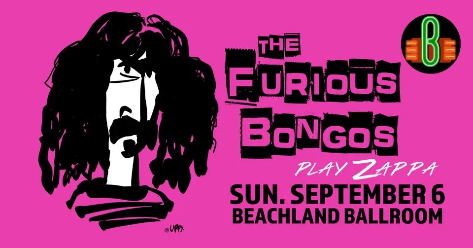 The Furious Bongos